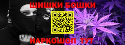 крисы Партизанск