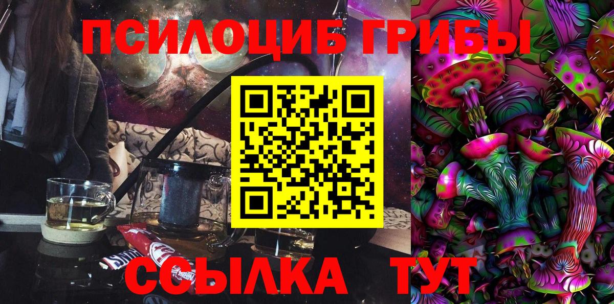 Галлюциногенные грибы Cubensis Россошь
